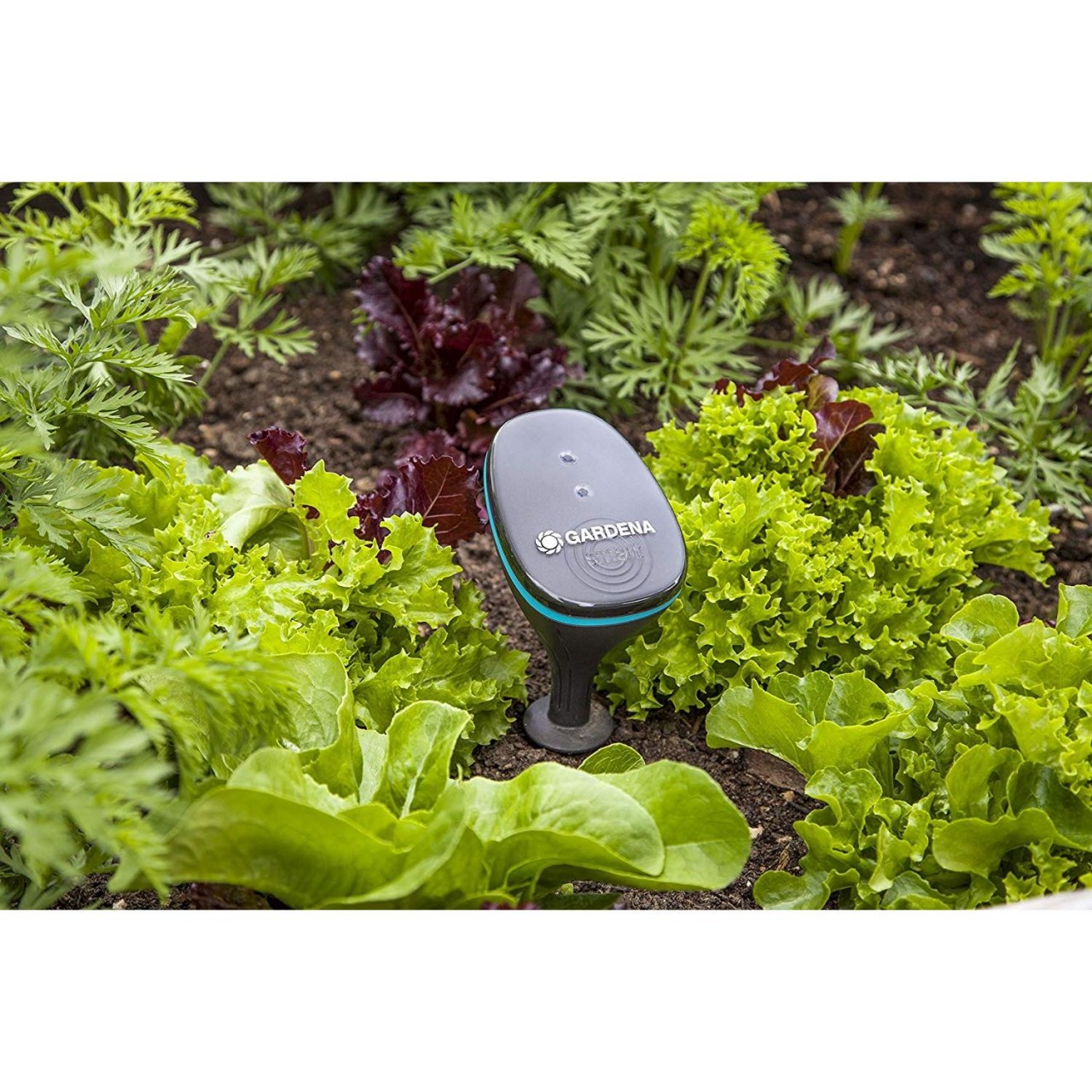 Gardena smart Sensor 19030-20 Bewässerungssteuerung per App Gartenbewässerung